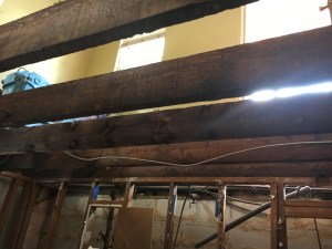 Mold Removal need in Nassau County house