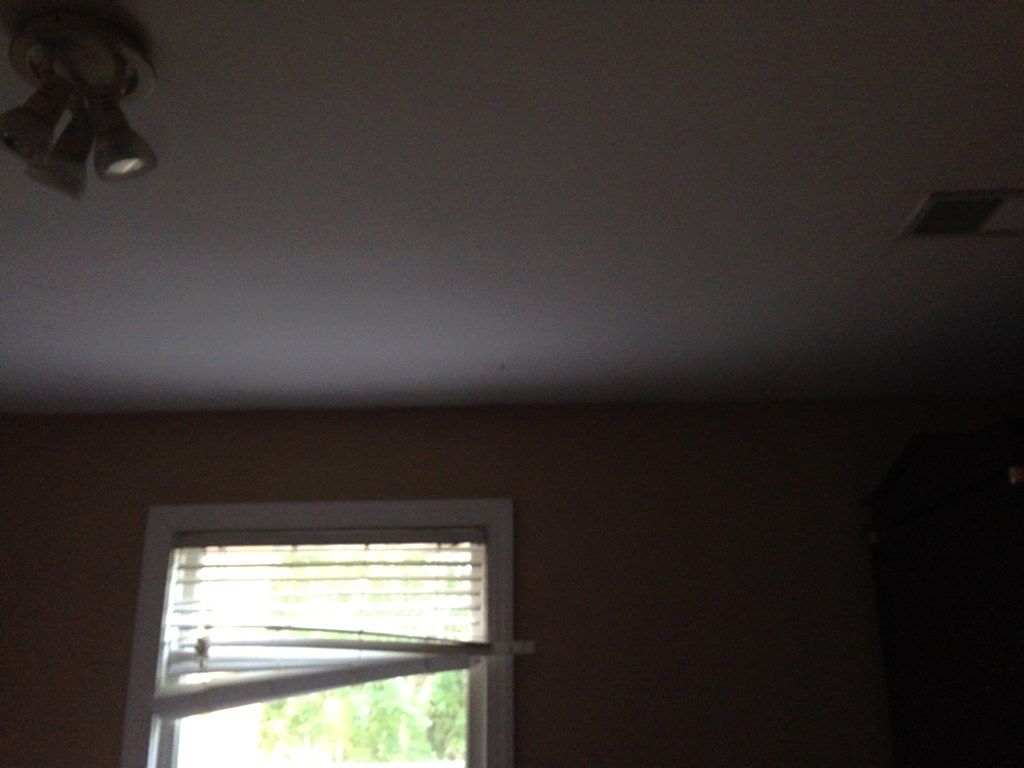 Puff Back Clean Up need to house in Nassau County